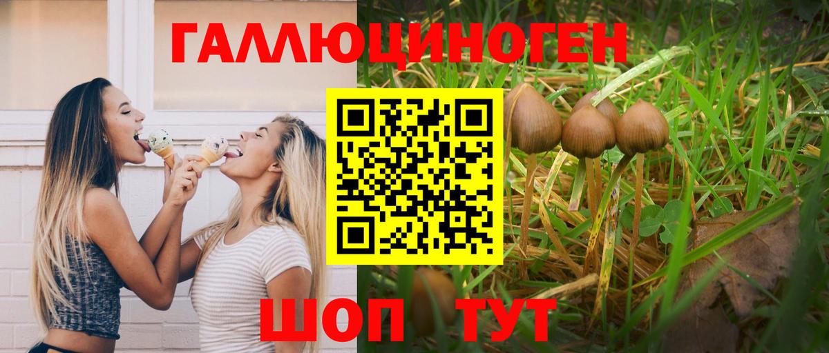 Псилоцибиновые грибы Magic Shrooms Борзя