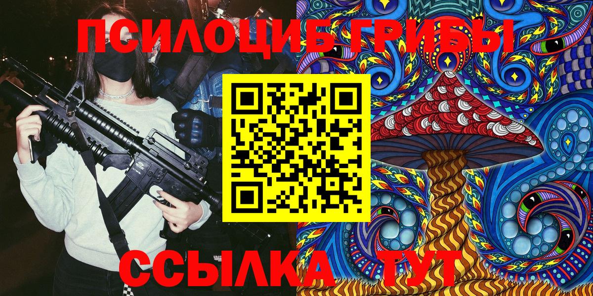 Борзя  где найти наркотики  Вход с VPN  Псилоцибиновые грибы Psilocybine cubensis 